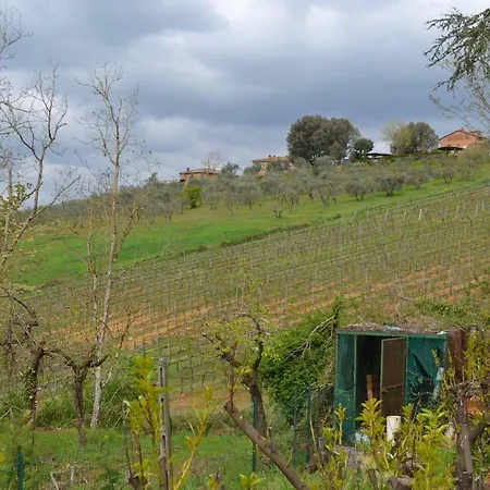 Casa Vacanze Anna Maria Feriehus Siena